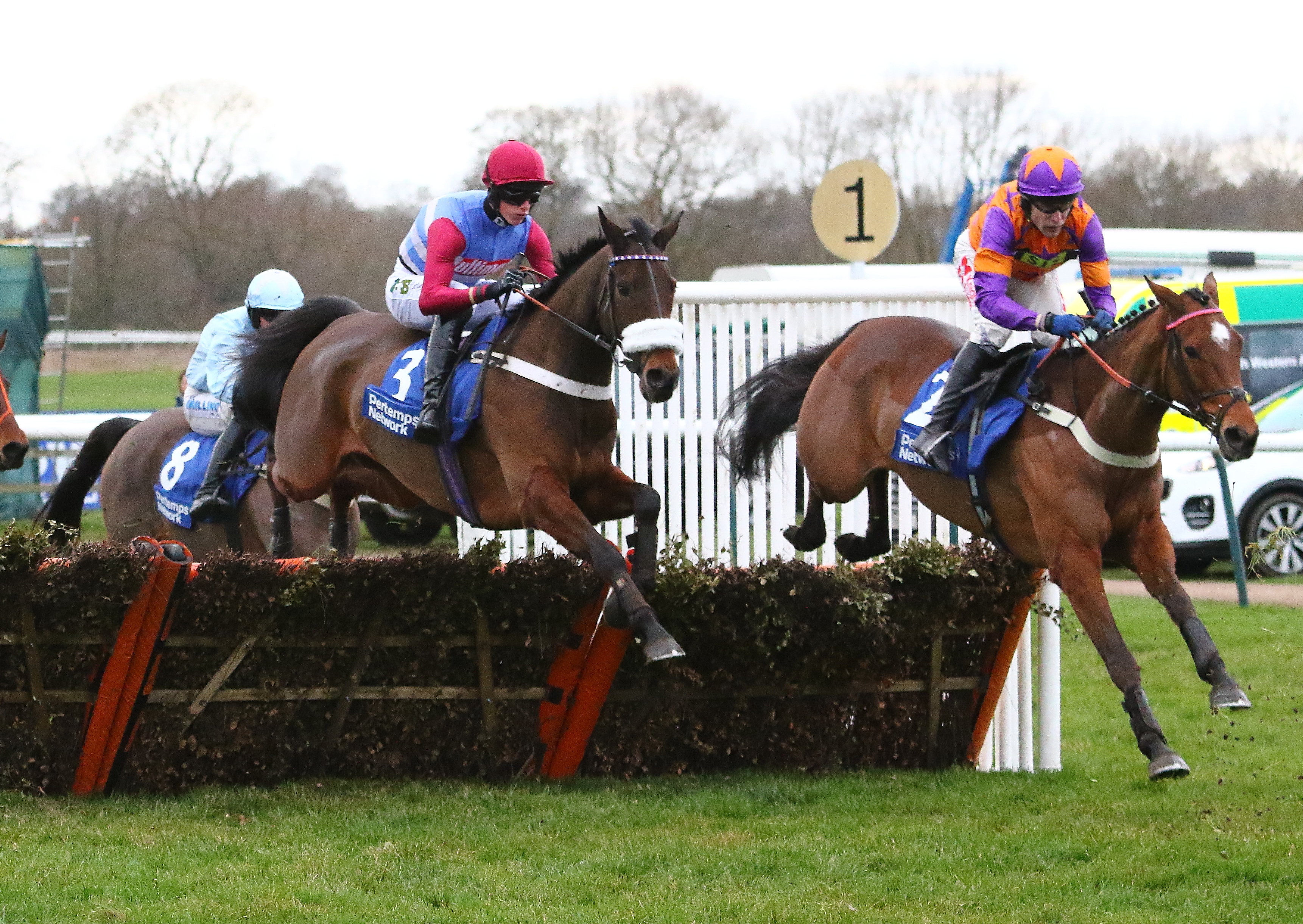 tomorrow's racing