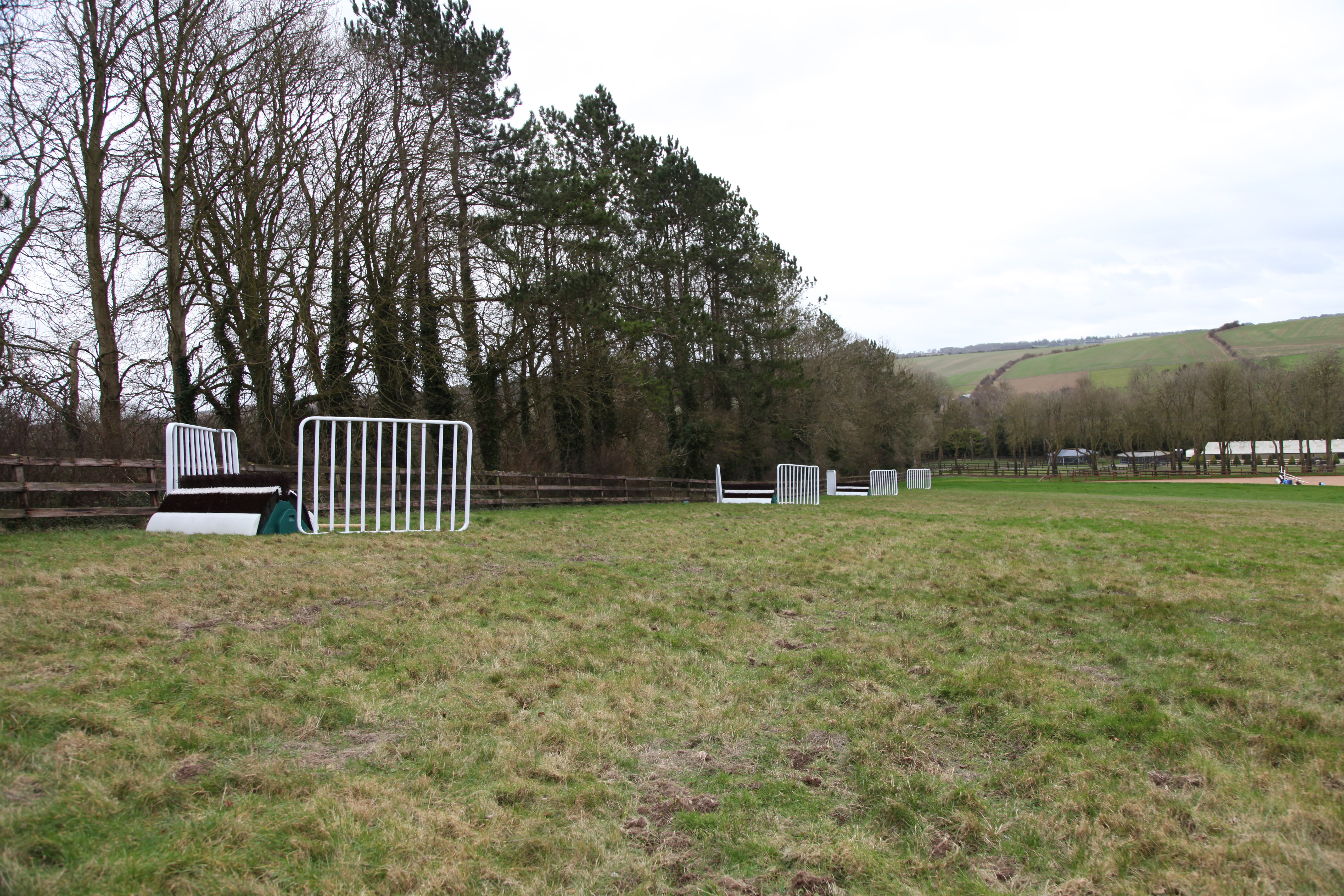 fences-on-grass