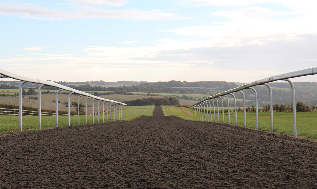 gallops