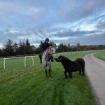 LOOSE SCHOOLING & NORMAN THE SHETLAND